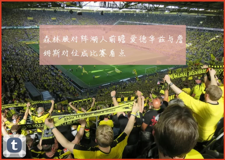 森林狼对阵湖人前瞻 爱德华兹与詹姆斯对位成比赛看点