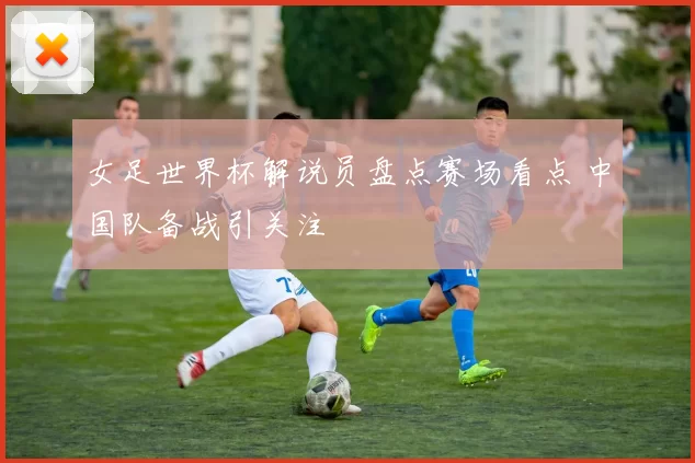 女足世界杯解说员盘点赛场看点 中国队备战引关注