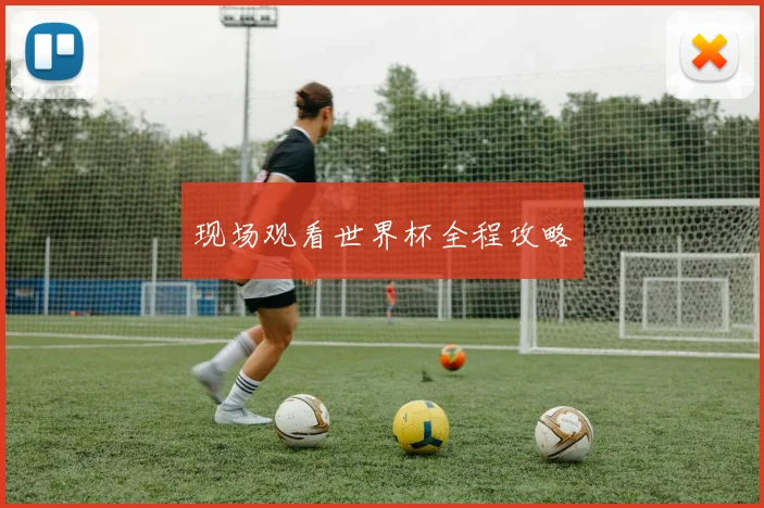 现场观看世界杯全程攻略