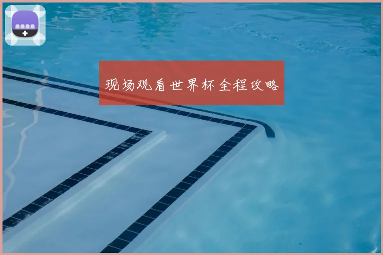现场观看世界杯全程攻略