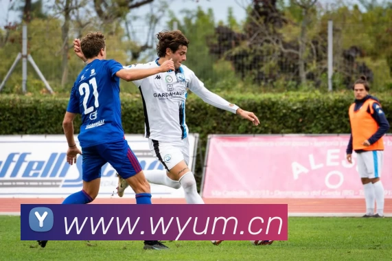 App Interface Preview